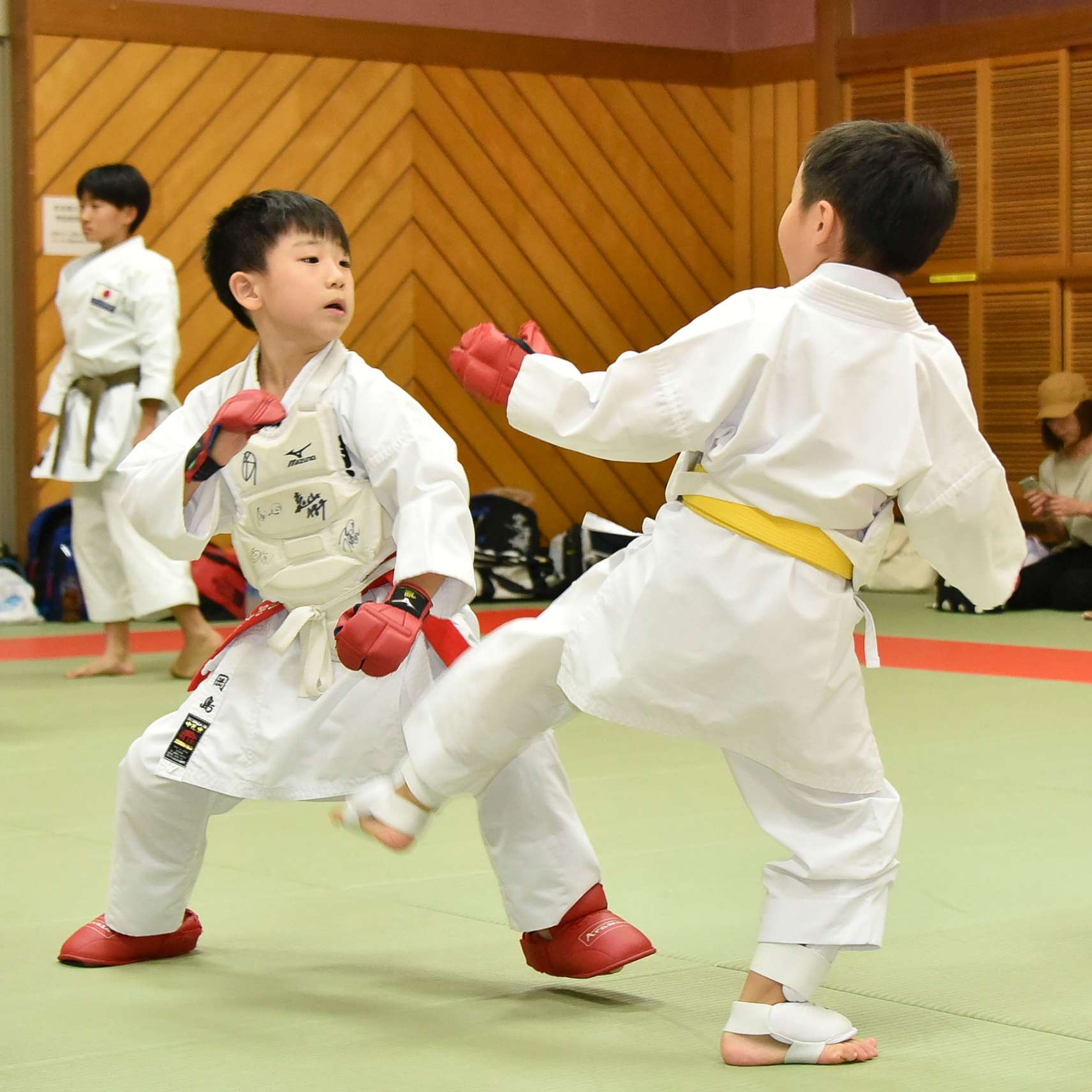 全国高等学校体育連盟検定品 守礼堂 空手防具セット - トレーニング用品